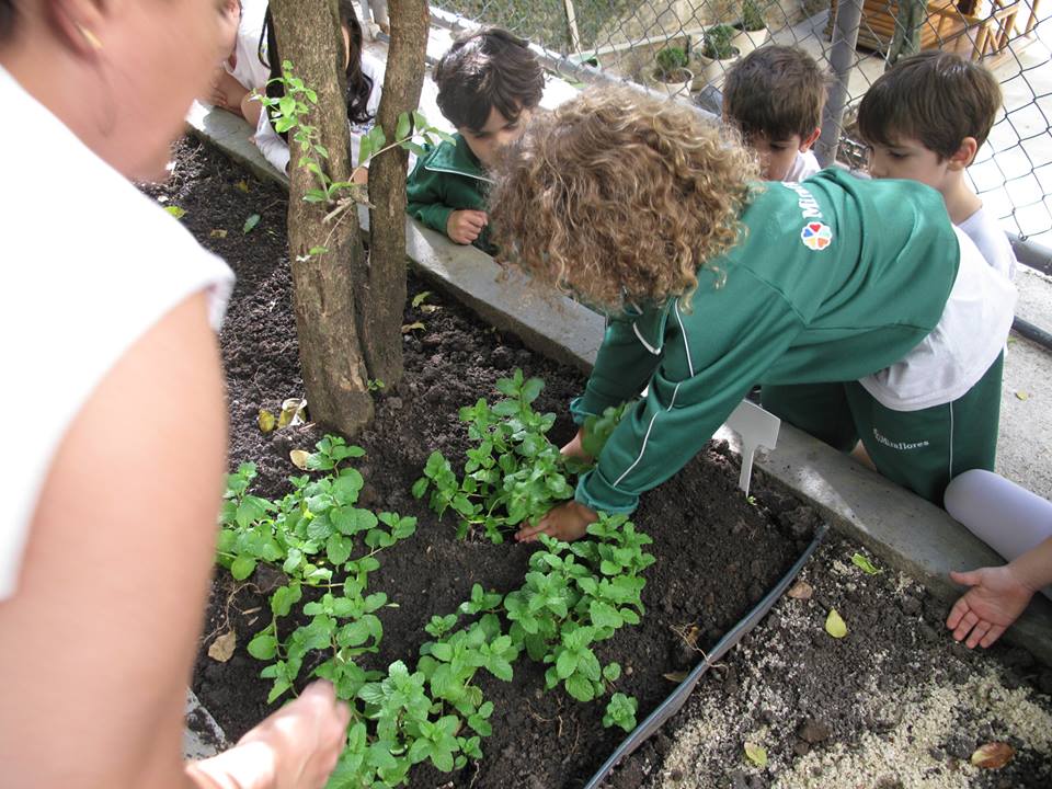 Criança cuida de horta na escola